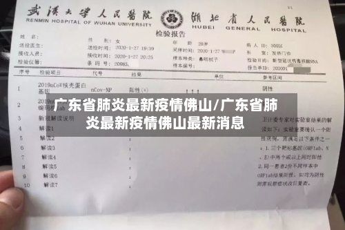 广东省肺炎最新疫情佛山/广东省肺炎最新疫情佛山最新消息-第3张图片