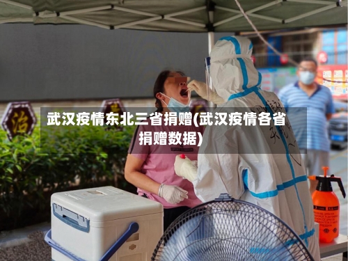 武汉疫情东北三省捐赠(武汉疫情各省捐赠数据)-第1张图片