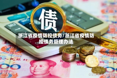 浙江省疫情防控债务/浙江省疫情防控债务管理办法-第2张图片