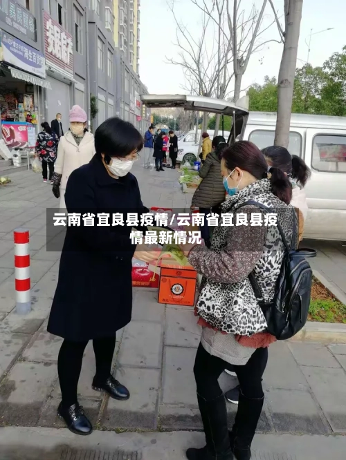 云南省宜良县疫情/云南省宜良县疫情最新情况-第1张图片