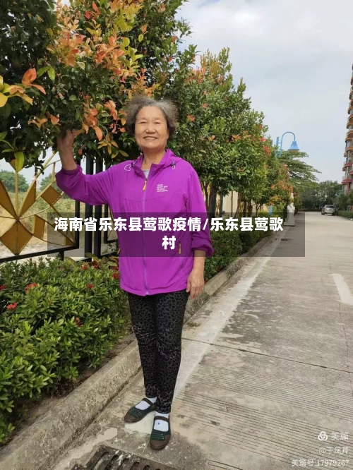 海南省乐东县莺歌疫情/乐东县莺歌村-第3张图片