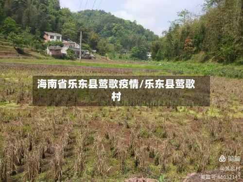 海南省乐东县莺歌疫情/乐东县莺歌村-第2张图片