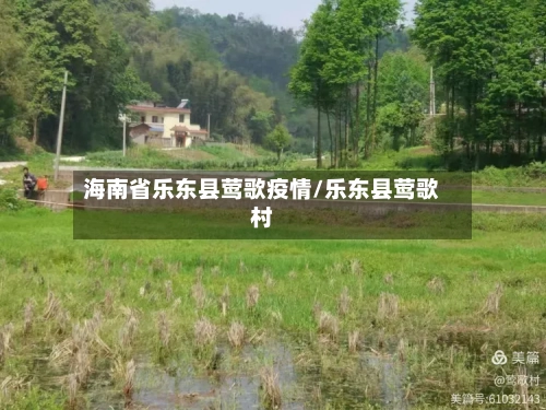海南省乐东县莺歌疫情/乐东县莺歌村-第1张图片