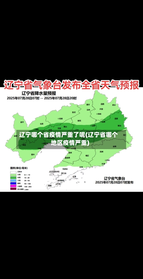 辽宁哪个省疫情严重了呢(辽宁省哪个地区疫情严重)-第3张图片