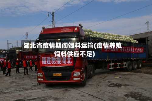 湖北省疫情期间饲料运输(疫情养殖饲料供应不足)-第1张图片