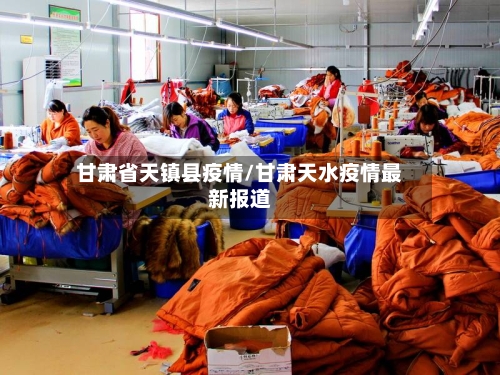 甘肃省天镇县疫情/甘肃天水疫情最新报道-第2张图片