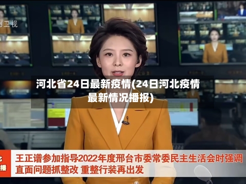 河北省24日最新疫情(24日河北疫情最新情况播报)-第2张图片