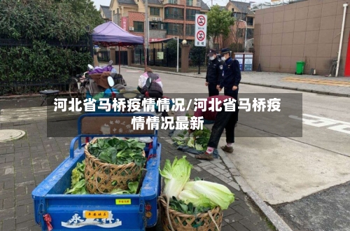 河北省马桥疫情情况/河北省马桥疫情情况最新-第1张图片
