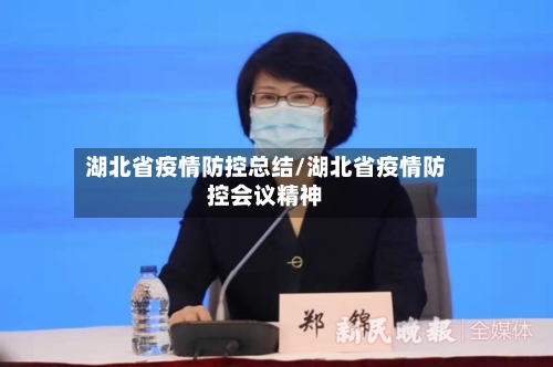湖北省疫情防控总结/湖北省疫情防控会议精神-第1张图片