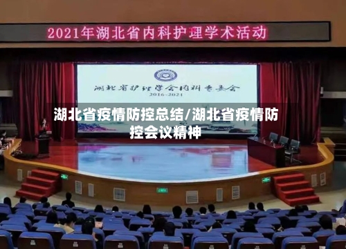 湖北省疫情防控总结/湖北省疫情防控会议精神-第3张图片