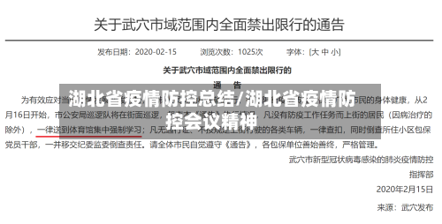 湖北省疫情防控总结/湖北省疫情防控会议精神-第2张图片