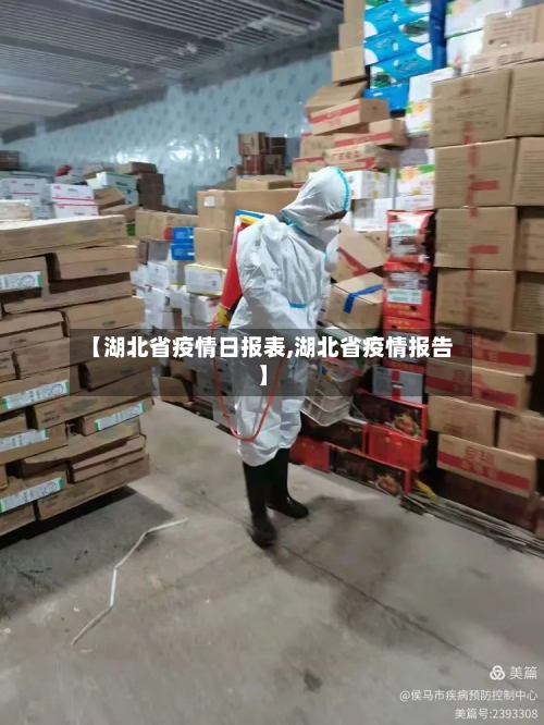 【湖北省疫情日报表,湖北省疫情报告】-第3张图片