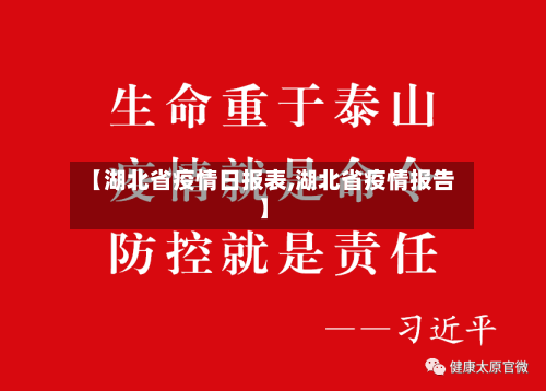 【湖北省疫情日报表,湖北省疫情报告】-第2张图片