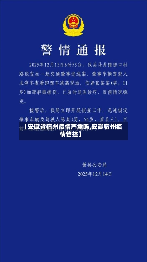 【安徽省宿州疫情严重吗,安徽宿州疫情管控】-第3张图片