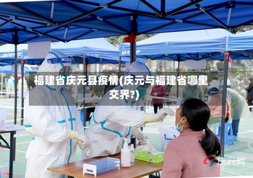 福建省庆元县疫情(庆元与福建省哪里交界?)-第3张图片
