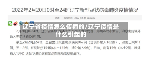 辽宁省疫情怎么传播的/辽宁疫情是什么引起的-第2张图片