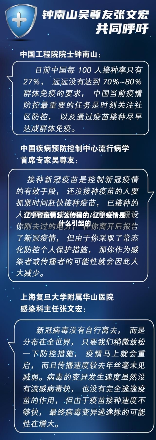 辽宁省疫情怎么传播的/辽宁疫情是什么引起的-第1张图片