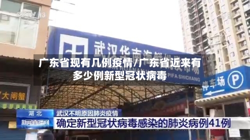 广东省现有几例疫情/广东省近来有多少例新型冠状病毒-第1张图片