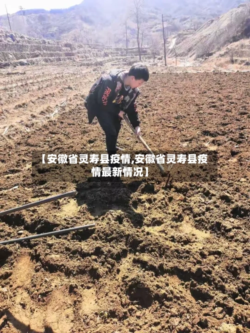 【安徽省灵寿县疫情,安徽省灵寿县疫情最新情况】-第2张图片