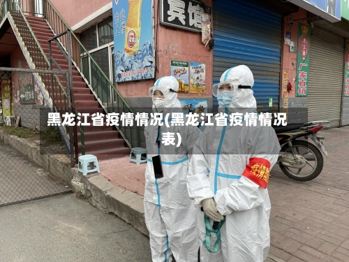 黑龙江省疫情情况(黑龙江省疫情情况表)-第2张图片