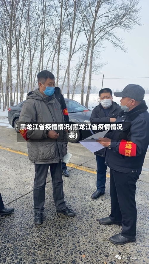 黑龙江省疫情情况(黑龙江省疫情情况表)-第1张图片