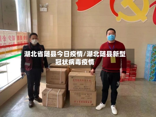 湖北省随县今日疫情/湖北随县新型冠状病毒疫情-第2张图片