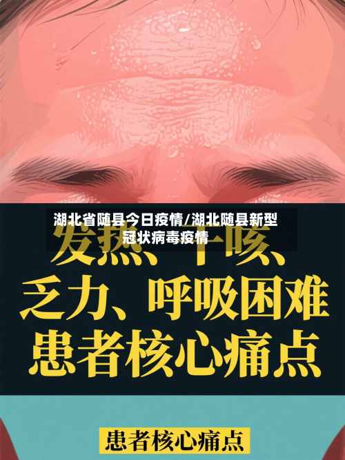 湖北省随县今日疫情/湖北随县新型冠状病毒疫情-第1张图片