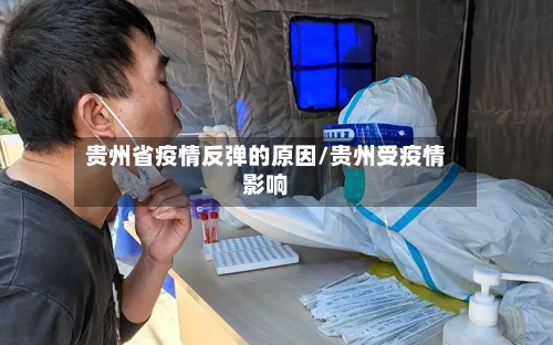 贵州省疫情反弹的原因/贵州受疫情影响-第2张图片