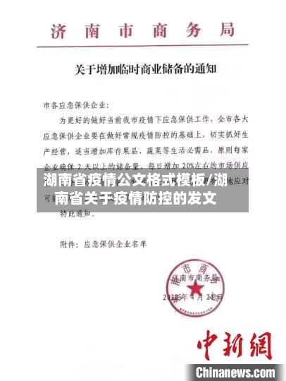 湖南省疫情公文格式模板/湖南省关于疫情防控的发文-第2张图片