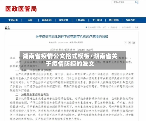 湖南省疫情公文格式模板/湖南省关于疫情防控的发文-第1张图片