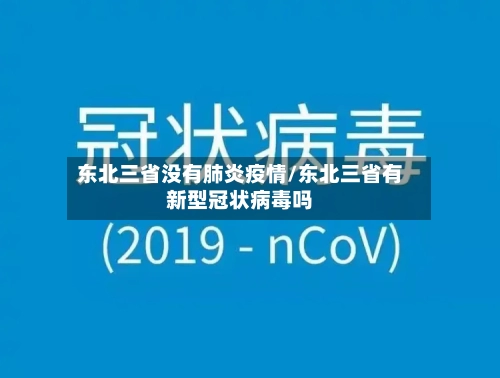 东北三省没有肺炎疫情/东北三省有新型冠状病毒吗-第2张图片