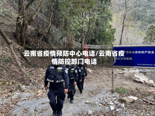 云南省疫情预防中心电话/云南省疫情防控部门电话-第1张图片