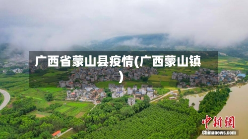 广西省蒙山县疫情(广西蒙山镇)-第2张图片