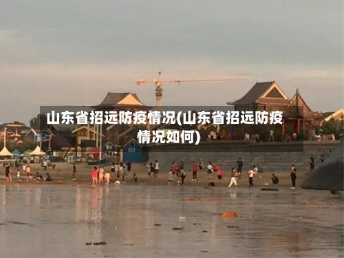 山东省招远防疫情况(山东省招远防疫情况如何)-第2张图片