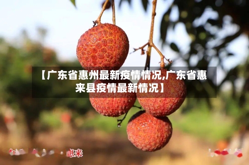 【广东省惠州最新疫情情况,广东省惠来县疫情最新情况】-第2张图片