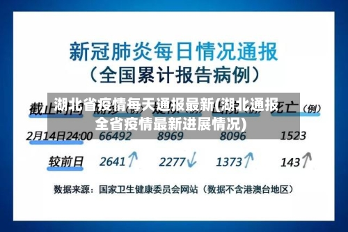 湖北省疫情每天通报最新(湖北通报全省疫情最新进展情况)-第1张图片