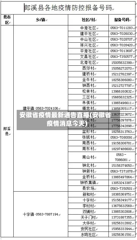 安徽省疫情最新通告直播(安徽省疫情消息今天)-第3张图片
