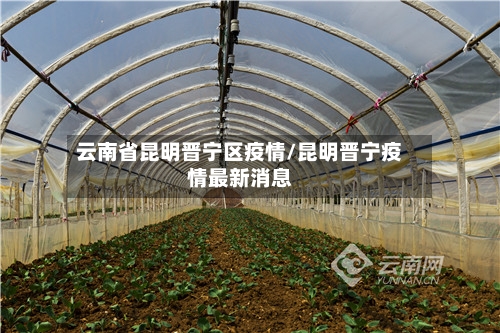 云南省昆明晋宁区疫情/昆明晋宁疫情最新消息-第3张图片