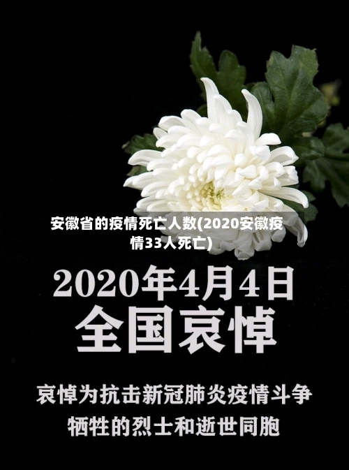 安徽省的疫情死亡人数(2020安徽疫情33人死亡)-第1张图片