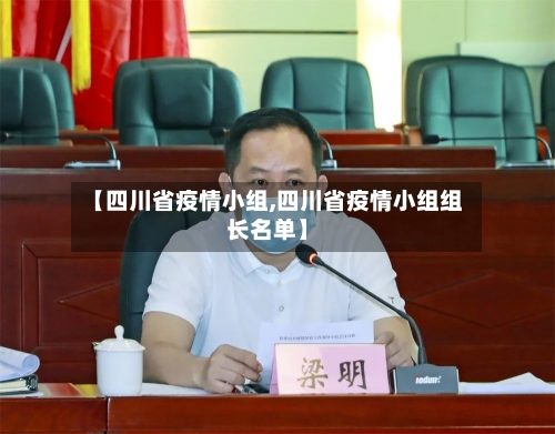 【四川省疫情小组,四川省疫情小组组长名单】-第3张图片