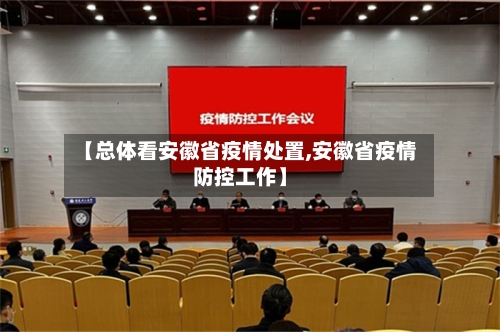 【总体看安徽省疫情处置,安徽省疫情防控工作】-第2张图片