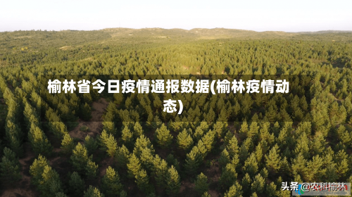 榆林省今日疫情通报数据(榆林疫情动态)-第1张图片