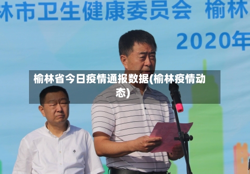 榆林省今日疫情通报数据(榆林疫情动态)-第3张图片