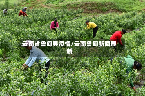 云南省鲁甸县疫情/云南鲁甸新闻最新-第3张图片