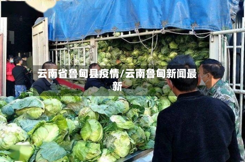 云南省鲁甸县疫情/云南鲁甸新闻最新-第2张图片