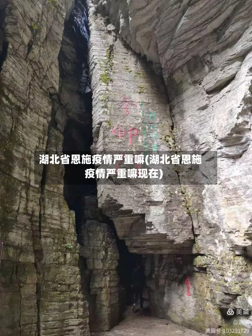 湖北省恩施疫情严重嘛(湖北省恩施疫情严重嘛现在)-第1张图片