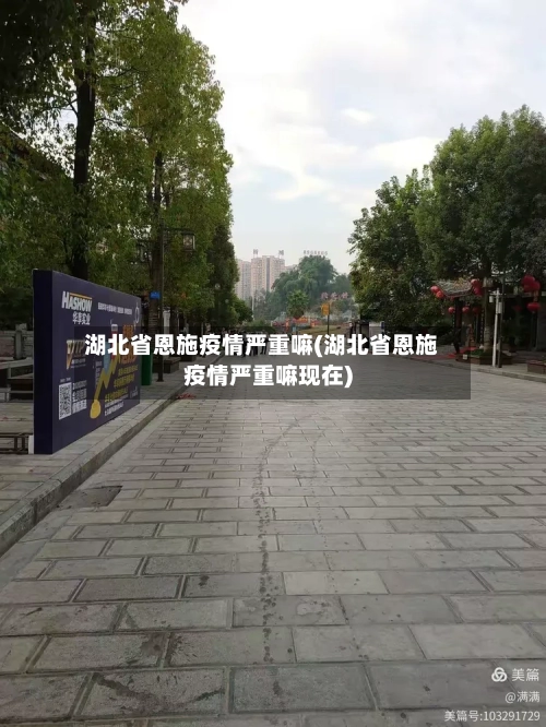 湖北省恩施疫情严重嘛(湖北省恩施疫情严重嘛现在)-第3张图片