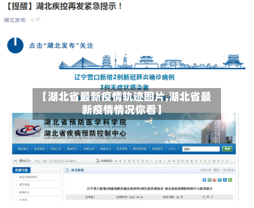 【湖北省最新疫情轨迹图片,湖北省最新疫情情况你看】-第1张图片