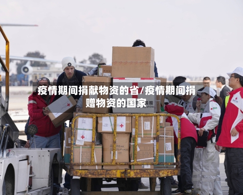 疫情期间捐献物资的省/疫情期间捐赠物资的国家-第2张图片