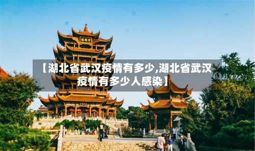 【湖北省武汉疫情有多少,湖北省武汉疫情有多少人感染】-第1张图片